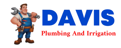 Trusted plumber in MINA